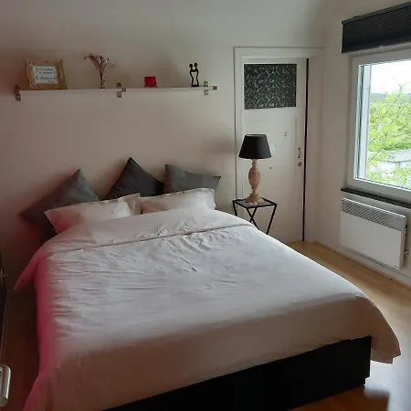 Guest house La D'amis